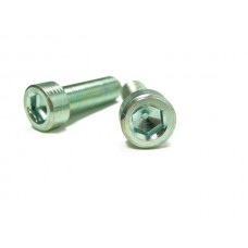Damper retaining bolts (Pk./2)