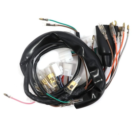 Wire Harness - Main - XS1 - XS1B Wire Harness - Main - XS1 - XS1B